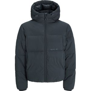 JACK&JONES JORVESTERBRO PUFFER JACKET AW24 SN Heren Puffer jacket - Forest River