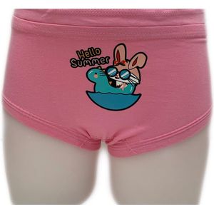 Embrator meisjes Onderbroeken 2-stuks met opdruk roze maat 92/98