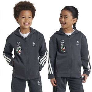 Adidas - Disney Mickey Mouse - Sweatshirt - Grijs - 5-6 Jaar - Met Rits