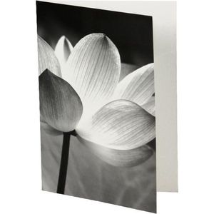 10 Luxe gevouwen Wenskaarten - Ansichtkaarten - met enveloppe - zonder tekst - 13x18cm - zwart/wit