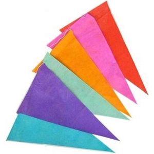 Papieren vlaggenlijn veelkleurig 10 meter - Feestversiering - Slingers
