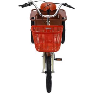 Gran Vida® - Driewieler voor Volwassenen - Verstelbaar Stuur & Zadel - Ruime Opbergmand - Beige