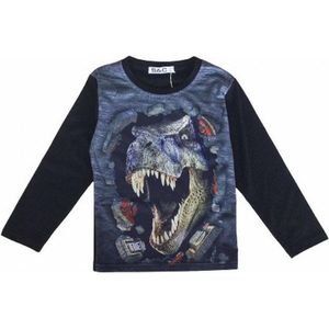 S&C Dinosaurus shirt - Lange Mouw - Dino shirt - T-rex - Zwart - maat 146/152 (12) - H164