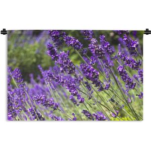 Wandkleed De lavendel - Heldere paarse lavendel in de natuur Wandkleed katoen 120x80 cm - Wandtapijt met foto