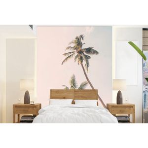 Palmbomen - Lucht - Natuur - Wolken - Behangpapier