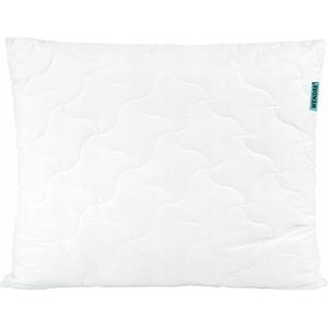 Antiallergisch Medisch Aloë Vera Kussen 70x80cm