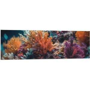 Vlag - Kleurrijk Zoetwater Koraal op Zeebodem - 120x40 cm Foto op Polyester Vlag