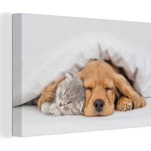 Canvas - Canvas doek - Kat - Hond - Poes - Honden - Deken - Dieren - Dier - Kamer decoratie - 30x20 cm