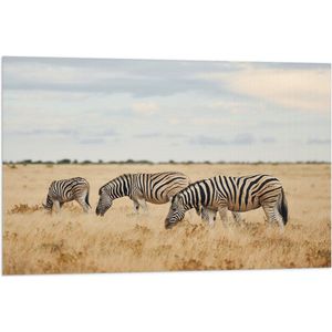Vlag - Trio van Grazende Zebra's in Droog Afrikaans Landschap - 90x60 cm Foto op Polyester Vlag