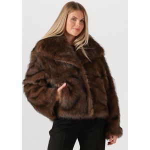 Notre-V Nv-gala Jassen Dames - Winterjas - Bruin - Maat 44