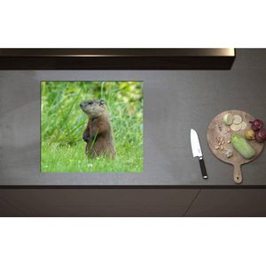 Inductieplaat Beschermer - Bos vol met Watervallen en Groene Bomen - 58x52 cm - 2 mm Dik - Inductie Beschermer - Bescherming Inductiekookplaat - Kookplaat Beschermer van Wit Vinyl