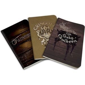 Harry Potter Notebook set - Diagon Alley - 3 stuks