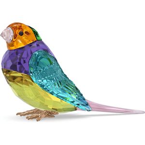 Swarovski Idyllia Gouldian Finch 5689266
