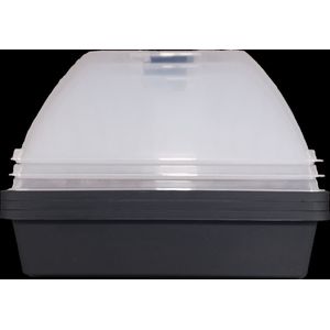 3 stuks Kweekkas Midigrow 29x19x19 antraciet - merk Rebedex - Deksel met ventilatie - Propagator - Zaaitray - Kweektray - Tuinieren/Moestuinbak - Moestuin artikelen - Tuin benodigdheden - Vensterbank - Kiemen