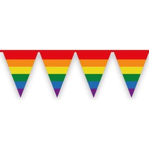 Pride Slinger - Vlaggenlijn - Pride - Regenboog - Rood - Oranje - Geel - Groen - Blauw - Paars - 6 meter