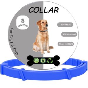 Igoods Vlooienband hond - Vlooienband kat - Alle Honden & Katten - One Size Fits All - Anti Vlooien en Tekenmiddel - Tekenband - 8 Maanden Bescherming - Diervriendelijk - Blauw