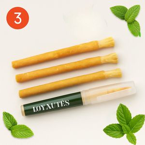 Miswak Mint – 3 stuks – met houder – Sewak – Siwak – Natuurlijke Tandenborstel – Biologisch & Fluoridevrij – Antibacterieel – Sunnah – Halal Verzorging – Tandverzorging – Natuurlijk Alternatief voor Plastic Tandenborstels – Mondverzorging Zonder Tand
