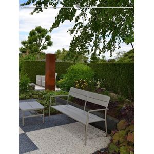 Levensboom Thuja plicata Martin 100-120 cm, 7x Haagplant