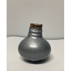 Wax amaryllis zilver - wax bol
