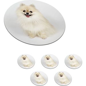 Onderzetters voor glazen - Rond - Blije pomeriaan - 10x10 cm - Glasonderzetters - 6 stuks