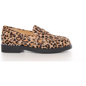 Ash, Dames, Schoenen, Bruin, Maat: 36 EU