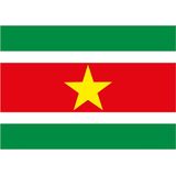 Vlag Suriname stickers