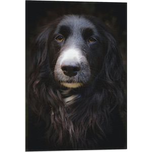 WallClassics - Vlag - Zwarte Hond met Witte Neus - 40x60 cm Foto op Polyester Vlag
