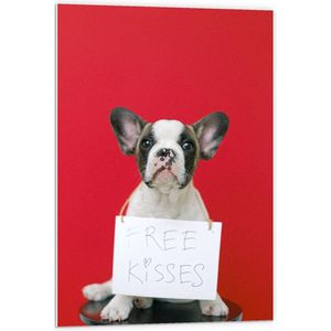 Forex - Bulldog op Rode Achtergrond met ''Free Kisses'' Bord - 60x90cm Foto op Forex