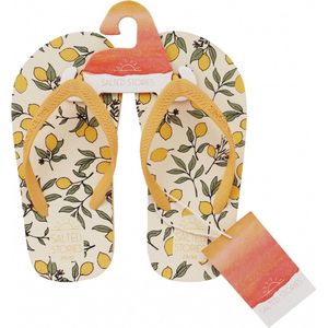 Slippers Saga Lemons | Salted Stories 27-28