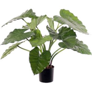 Kunstplant - Olifantsoor Plant - Alocasia calidora hoogte 60cm