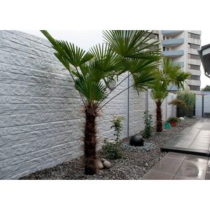 Intergard Beton schutting Fencestone dubbelzijdig 200x193cm