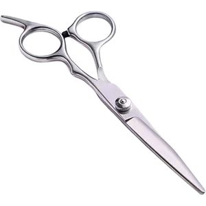 Schaar - Knippen - Premium kappersschaar - 6 inch - Kappersschaar - Multifunctionele schaar - Salon kappersschaar - Kappersschaar - Unisex - Huisdieren - Zilver
