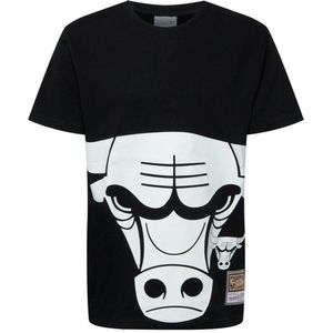 Mitchell & Ness shirt Wit-L