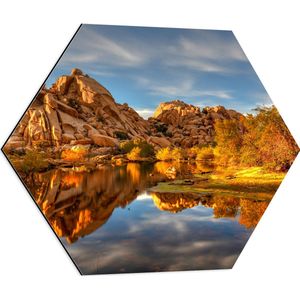 Dibond Hexagon - Rotsen aan het Water bij Joshua Tree National Park - 60x52.2 cm Foto op Hexagon (Met Ophangsysteem)
