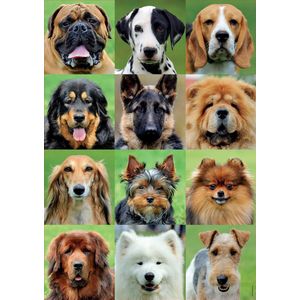 Educa collage van honden puzzel 500 stukjes