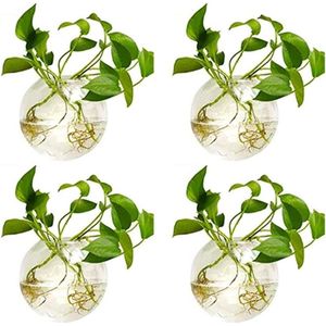 Plantenbak - Bak voor planten 4 stuks muur opknoping glazen plantenbakken 10cm diameter ronde glazen plantenpot water-planten vazen lucht-bloem vaas plant terraria plant container
