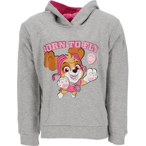 Paw Patrol Sweater Grijs Maat 86/92