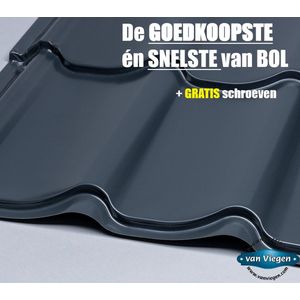 Dakpanplaten | 10 stuks van 110 x 260 cm | +GRATIS SCHROEVEN | RAZEND SNEL THUIS | prefab dakplaten | stalen profielplaten