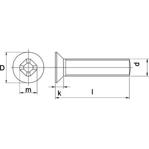 metaalschroef rvs platkop M3 x 6 (200st.)