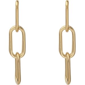 The Jewellery Club - Evi earrings gold - Oorbellen - Dames oorbellen - Stainless steel - Goud - 5 cm lang - 1 cm dik