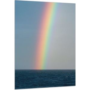 WallClassics - Vlag - Heldere Regenboog Landend in Zeewater - 100x150 cm Foto op Polyester Vlag