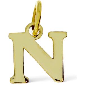 Goud Hanger Letter N 14 karaats