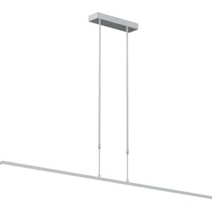 Verstelbare hanglamp Zelena | 2 lichts | staal / grijs / zilver | kunststof / metaal | 155 cm lang | in hoogte verstelbaar tot 117 cm | eettafellamp | modern design