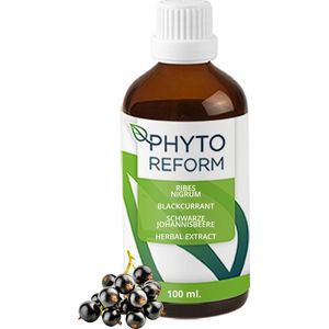 Aalbes (Ribes Nigrum) | 100ml | Phytoreform