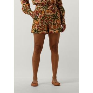 Notre-V Nv-dim Dames - Korte Broek - Multi - Maat XXL