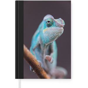 Notitieboek - Schrijfboek - Blauwe kameleon loopt over tak - Notitieboekje klein - A5 formaat - Schrijfblok