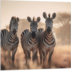 Vlag - Drie Zebra's in Droog Landschap - 80x80 cm Foto op Polyester Vlag