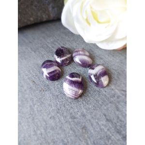 Zaksteen 25 x 18 mm Amethist Wolftand
