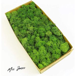 Mrs. Jones Premium Collection Geconserveerd rendier ambacht mos doe-het-zelf kit natuurlijk groen kunst muurdecor Pasen (Groen-02) .