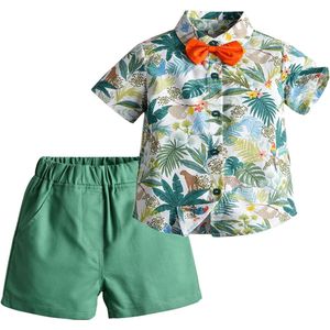 Allecto Plus - Baby Jongens Hawaii Outfits - Groen - 9-12 Maanden
